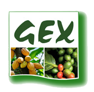 Logo GEX